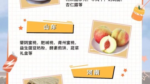 豆包AI到底有没有区域代理？别再瞎猜了，过来人告诉你真实情况